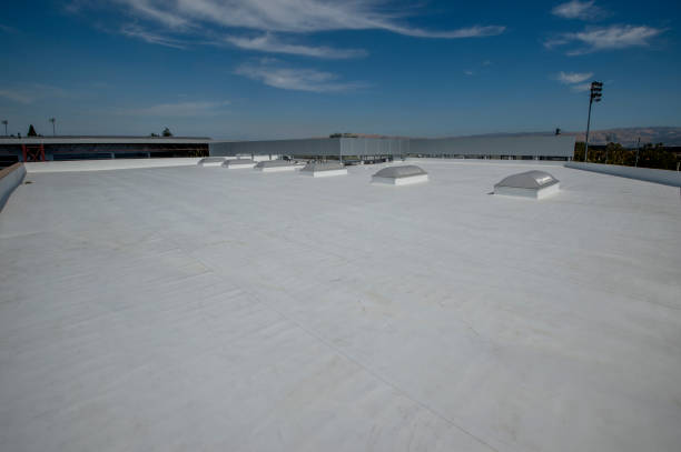 Best Cold Roofs  in Parker City, IN