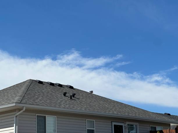 Best Storm Damage Roof Repair  in Parker City, IN